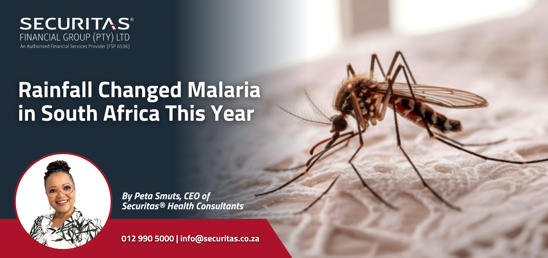 SFG Website Blog Malaria